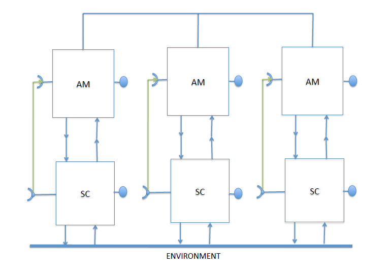 cam pattern